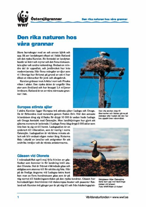 Östersjögrannar - Faktablad Natur