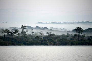 Molnig regnskog vid vatten, Rio Tapajos Brasilien Molnig regnskog vid vatten, Rio Tapajos Brasilien