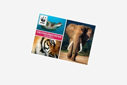 Souvenirguide
