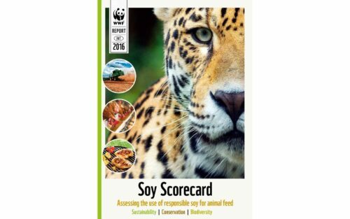 Soy Scorecard - Assessing the use of responsible soy for animal feed - Report 2016