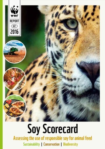 Soy Scorecard – Assessing the use of responsible soy for animal feed – Report 2016
