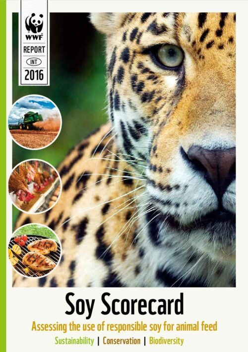 Soy Scorecard – Assessing the use of responsible soy for animal feed – Report 2016