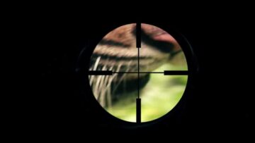 Stoppa den illegala jakten på tiger