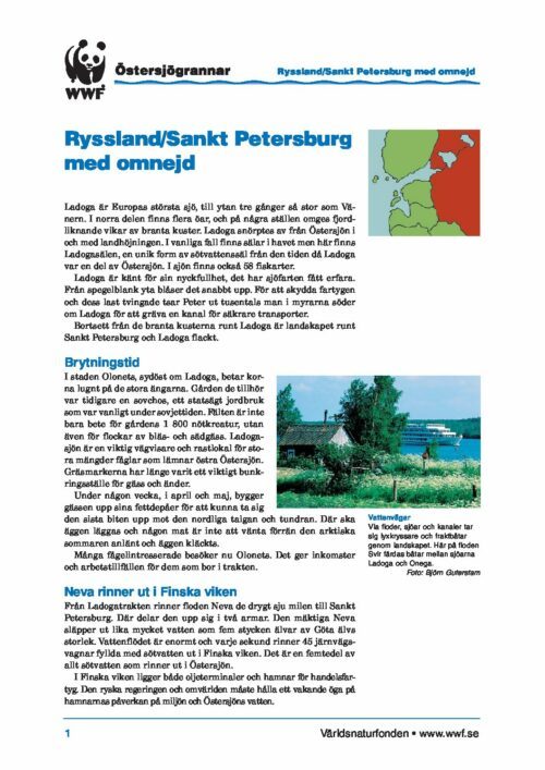 Östersjögrannar - Faktablad St Petersburg