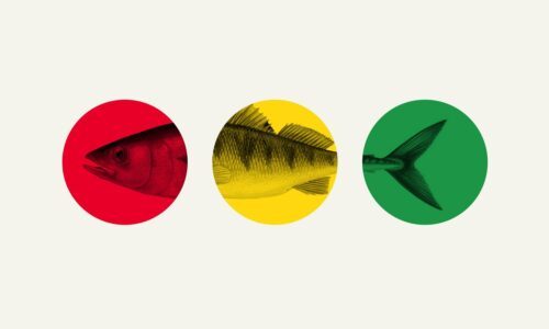 Tre cirklar i rad (röd, gul, grön) visar en fisk uppdelad: huvud i röd, kropp i gul, stjärt i grön.