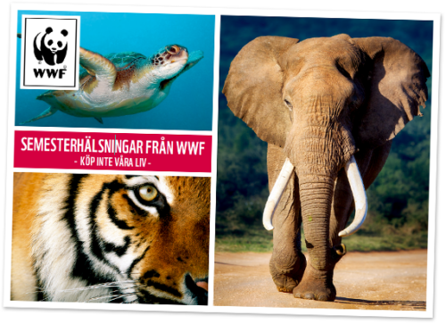 Collage med en simmande sköldpadda, tigeransikte och en elefant; WWF-logotyp samt texten: "SEMESTERHÄLSNINGAR FRÅN WWF - KÖP INTE VÅRA LIV -".