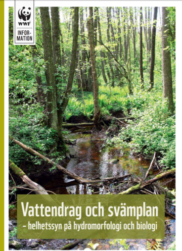 Omslagsbild till informationsblad: en smal, lugn bäck flyter genom tät skog med grönska och trädstammar, omgiven av marknära vegetation. Text: "Vattendrag och svämplan – helhetssyn på hydromorfologi och biologi".