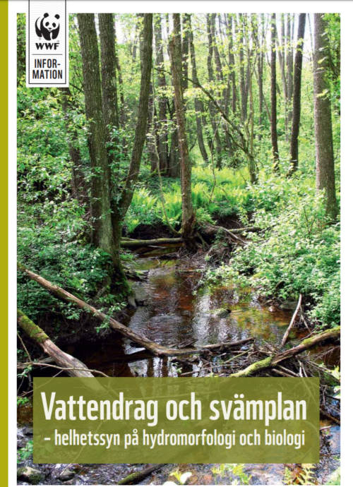 Omslagsbild till informationsblad: en smal, lugn bäck flyter genom tät skog med grönska och trädstammar, omgiven av marknära vegetation. Text: "Vattendrag och svämplan – helhetssyn på hydromorfologi och biologi".