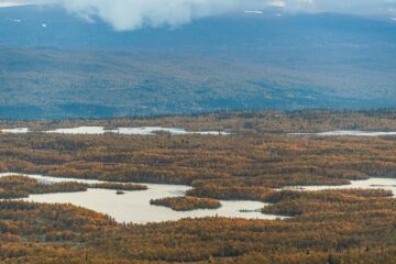 Vindelfjällens naturreservat i höstfärger