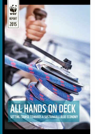 All hands om deck – Setting course towards a Sustainable Blue Economy