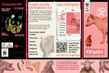 Köttguiden 2016 – Kort version
