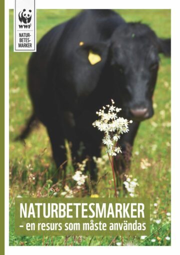 Naturbetesmarker – en resurs som måste användas Naturbetesmarker – en resurs som måste användas