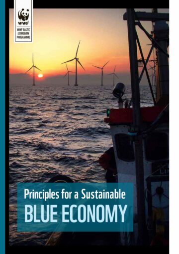 Principles for a Sustainable Blue Economy