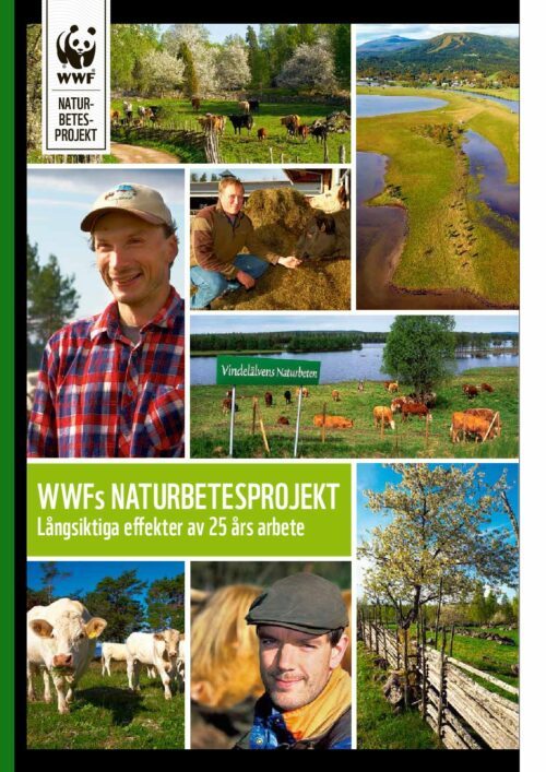 WWFs Naturbetesprojekt 2015 – Långsiktiga effekter av 25 års arbete (Sammanfattning)