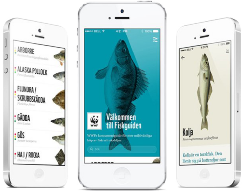 Tre smartphones visar WWF:s Fiskguiden-app med illustrerade fiskar, artlista, välkomstskärm och artbeskrivning. Transkription av synlig text: - ABBORRE - ALASKA POLLOCK - FLUNDRA / SKRUBBSKÄDDA - GÄDDA - GÖS - HAJ / ROCKA - Välkommen till Fiskguiden - WWF:s konsumentguide för mer miljövänliga köp av fisk och skaldjur. - Sök - Kolja - Melanogrammus aeglefinus - Kolja är en torskfisk. Den livnär sig på bottendjur som