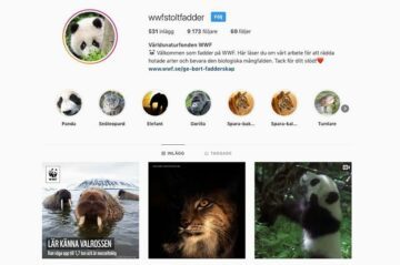 Instagramprofil för WWFstoltfadder: panda-profilbild, höjdpunkter med djurikoner och tre inlägg (valross, lodjur, panda). Text i bilden: Användarnamn: wwfstoltfadder 531 inlägg 9 173 följare 69 följer Världsnaturfonden WWF 🐼 Välkommen som fadder på WWF. Här läser du om vårt arbete för att rädda hotade arter och bevara den biologiska mångfalden. Tack för ditt stöd!❤️ www.wwf.se/ge-bort-fadderskap Höjdpunkter: Panda Snöleopard Elefant Gorilla Spara-bak... Spara-kal... Tumlare På vänstra inlägget: (WWF-logga) LÄR KÄNNA VALROSSEN Kan väga upp till 1,7 ton och är musseltokig