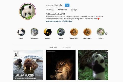 Instagramprofil för WWFstoltfadder: panda-profilbild, höjdpunkter med djurikoner och tre inlägg (valross, lodjur, panda). Text i bilden: Användarnamn: wwfstoltfadder 531 inlägg 9 173 följare 69 följer Världsnaturfonden WWF 🐼 Välkommen som fadder på WWF. Här läser du om vårt arbete för att rädda hotade arter och bevara den biologiska mångfalden. Tack för ditt stöd!❤️ www.wwf.se/ge-bort-fadderskap Höjdpunkter: Panda Snöleopard Elefant Gorilla Spara-bak... Spara-kal... Tumlare På vänstra inlägget: (WWF-logga) LÄR KÄNNA VALROSSEN Kan väga upp till 1,7 ton och är musseltokig
