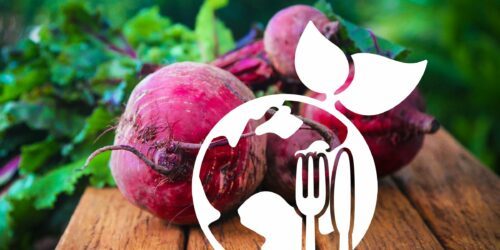 Färska rödbetor på en träplanka med vit logotyp: jordklot, bestick och blad som symbol för hållbar mat.