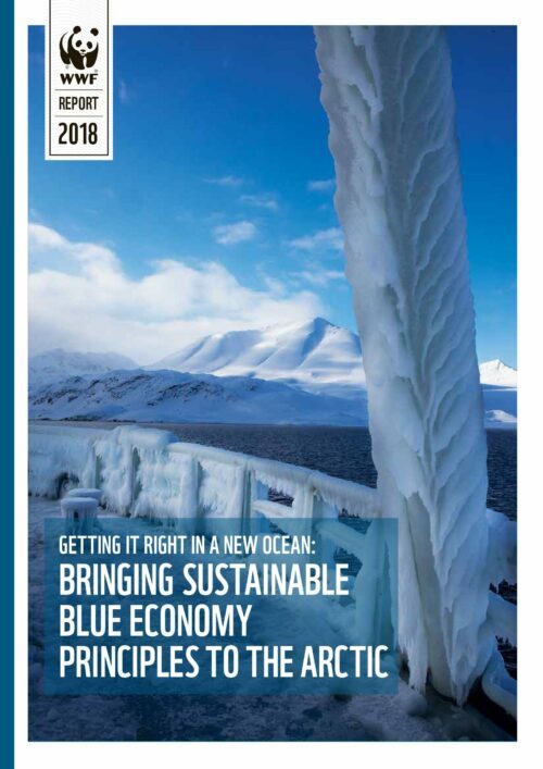 report_arctic_blue_economy_web-1 Omslagsbild till en rapport. Bilden visar ett räcke och pelare täckta av tjock is vid arktisk kust, snötäckta berg och blått hav i bakgrunden. Text i bilden: WWF REPORT 2018 GETTING IT RIGHT IN A NEW OCEAN: BRINGING SUSTAINABLE BLUE ECONOMY PRINCIPLES TO THE ARCTIC