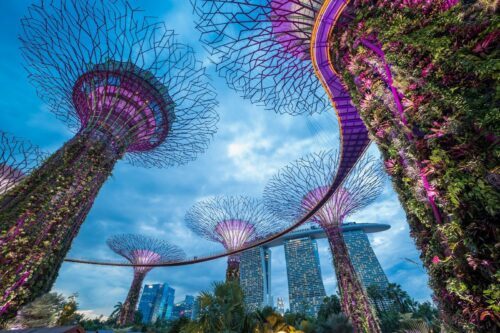 Singapore city skyline, Gardens by the bay