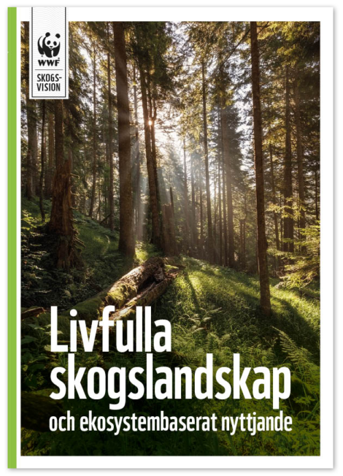 Omslagsbild av en solbelyst tät granskog med orört underskog, fallna stockar och ljusstrimmor genom trädkronorna. Text i bilden: WWF SKOGS-VISION Livfulla skogslandskap och ekosystembaserat nyttjande