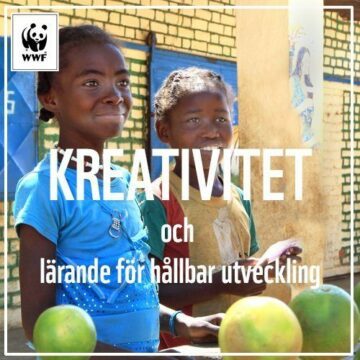 Två leende barn vid ett bord med gröna frukter, utomhus; WWF-logotyp uppe till vänster. Text i bilden: KREATIVITET och lärande för hållbar utveckling
