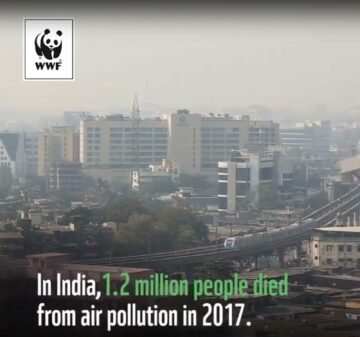 Stadsbild med tjock smog och ett upphöjt pendeltåg i förgrunden. Text i bilden: "In India, 1.2 million people died from air pollution in 2017." Logotyp: WWF