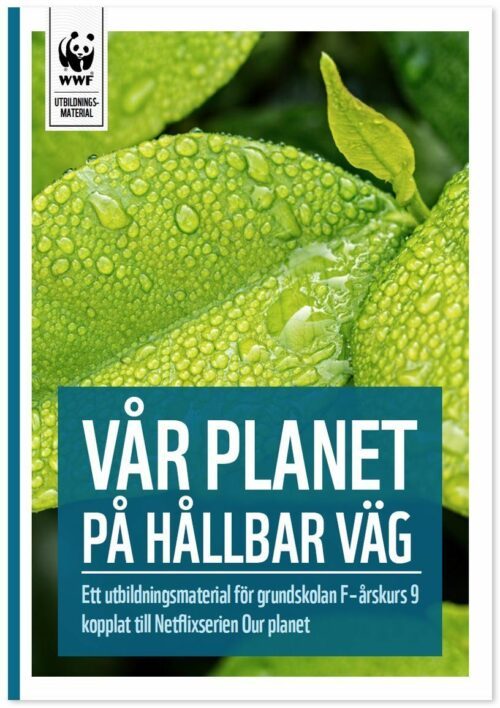 Omslagsbild till utbildningsmaterial: Närbild av ett grönt löv täckt av vattendroppar; omslagstext (transkription): WWF UTBILDNINGSMATERIAL; VÅR PLANET PÅ HÅLLBAR VÄG; Ett utbildningsmaterial för grundskolan F–årskurs 9 kopplat till Netflixserien Our planet