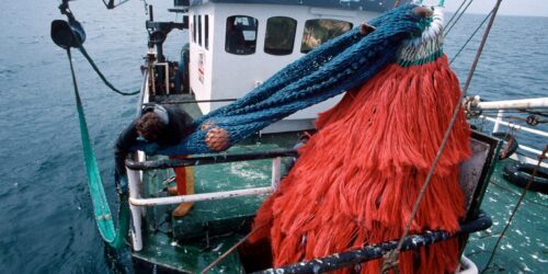 Fiskebåt trålare