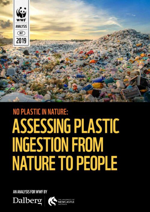 Omslag till en analys. Omslagsbilden är av ett massivt område fullt av plastskräp och sopor i naturen. Text: "NO PLASTIC IN NATURE: ASSESSING PLASTIC INGESTION FROM NATURE TO PEOPLE".