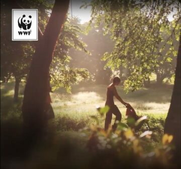 En person i en solbelyst skogsglänta. WWF-logotyp med texten "WWF" syns i övre vänstra hörnet.