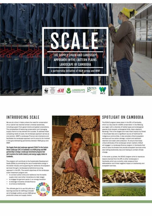 wwf-scale-rapport Titeltext: "SCALE - The supply chain and landscape approach in the Eastern Plains Landscape of Cambodia" samt "A partnership initiative of H&M group and WWF". Bilden visar en person som arbetar med textilier och jordbruk i Kambodja, inklusive en man vid en textilfabrik och en kvinna i en jordbruksmiljö.
