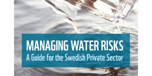 Texten "MANAGING WATER RISKS Guide for the Swedish Private Sector" visas över en närbild av rinnande vatten.