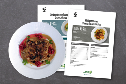 one-planet-plate-recept-skola-fristående-puff
