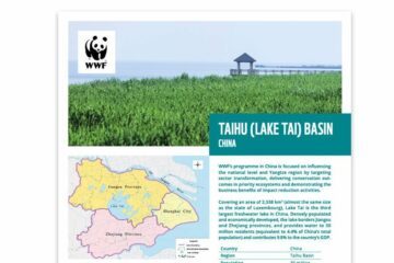 Taihu Lake basin fact sheet in China