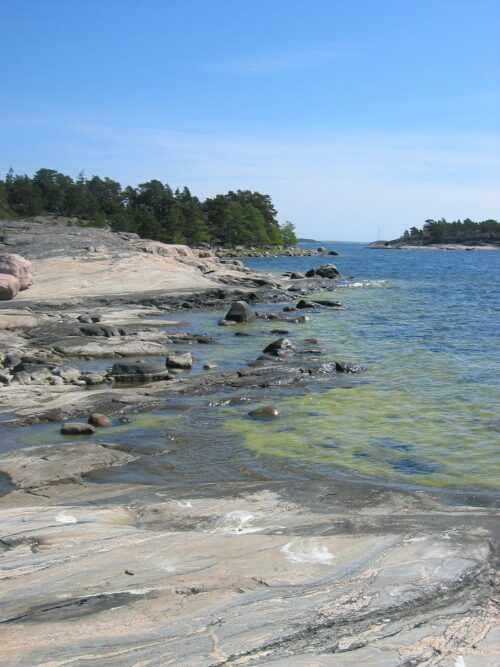 Klippig kust med träd i bakgrunden och klart blått vatten som sköljer över stenar och alger vid Östersjön, Finland.