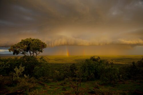 A rainbow appears in storm clouds over the Masai Mara reserve, Kenya.