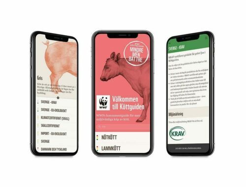 Tre mobilskärmar visar en app om kött: styckningsdelar, miljöpåverkan, och antibiotikaanvändning med text, diagram och knappar.