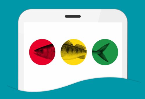 Tre cirklar med fiskdelar i rött, gult och grönt. Rött visar fiskhuvud, gult fiskens mitt, grönt fiskstjärt.