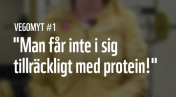 vego1