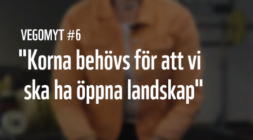 vego6