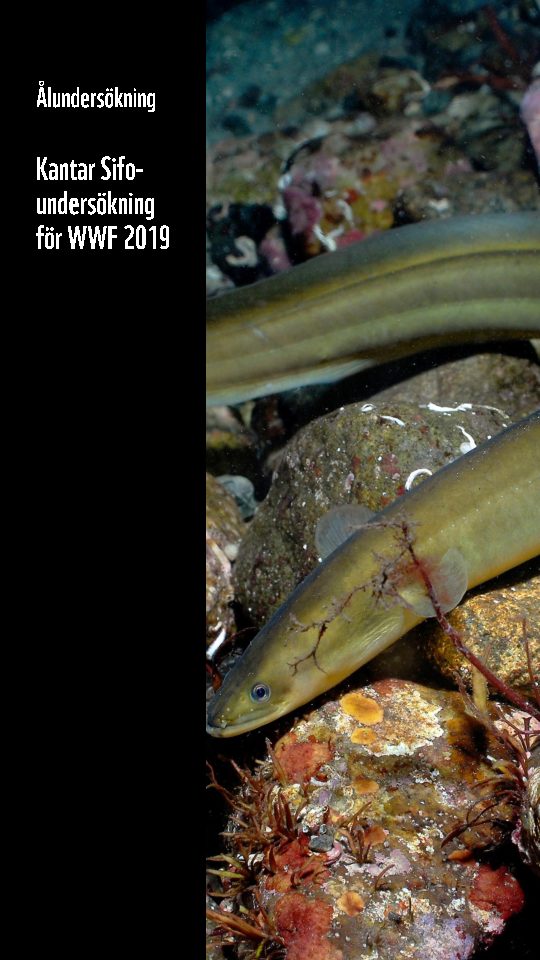 PPT ÅL 2019-1 (1)