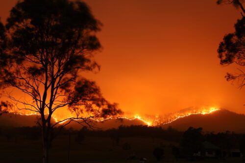 Stora skogsbränder sprider sig över kullar under en himmel som lyser rödorange av eld i Bowraville, NSW, Australien, november 2019.