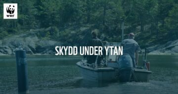 skydd under ytan