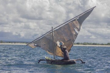 Förvaltning av bläckfisk med fiskestopp är ett lyckat exempel i Moçambique. Resultatet är bättre fångster och ökade intäkter lokalt.