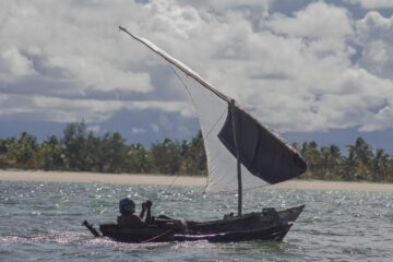 Förvaltning av bläckfisk med fiskestopp är ett lyckat exempel i Moçambique. Resultatet är bättre fångster och ökade intäkter lokalt.