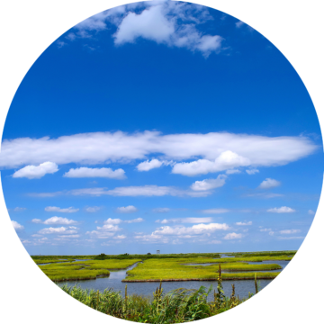 fanga-naturens-tjanster