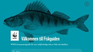 Text: "Välkommen till Fiskguiden. Konsumentguide för mer miljövänliga köp av fisk och skaldjur." Illustration av en fisk med blå färgövertäckning.