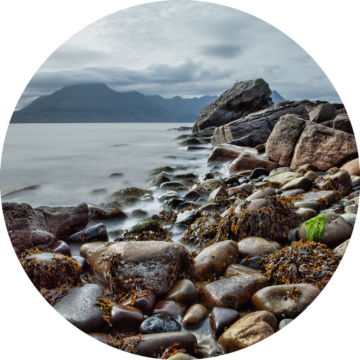 Rund bild: Stenig kust med tång täcker klippor, stilla vatten med dimma, och avlägsna, molntäckta berg i bakgrunden.
