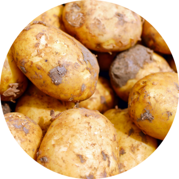 potatis-och-applen